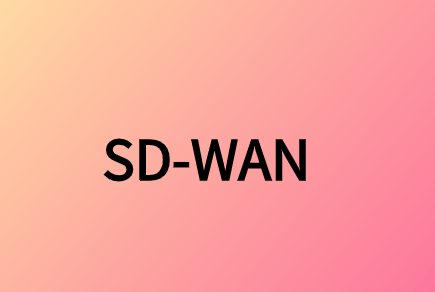 廣域網部署領域中的SD-WAN